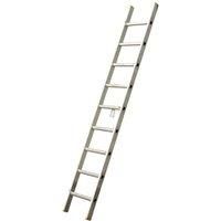 TB Davies 2 5M Professional Single Ladder