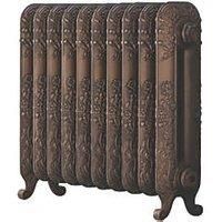 The Daisy 597 Vertical Cast Iron Radiator 10S Aged Bronze 597 x 684