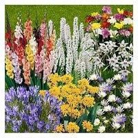 You Garden Summer Flowering Bulb Mix, 300 Bulbs, 7 Varieties, Summer Long Colour