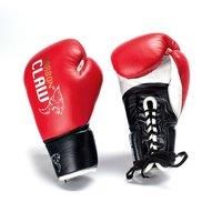 Carbon Claw PFG BX-7 Tigris Sondaica Martial Arts Fight Gloves