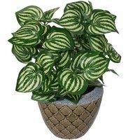 Leaf Design UK Realistic Artificial Foliage Plant with Pot, Watermelon, 45cm