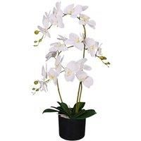 Leaf Design UK Realistic Artificial Orchid Flower Display in Pot,White,65cm