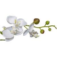 Leaf Design UK Realistic Artificial Orchid Flower Display in Pot, White, 60cm