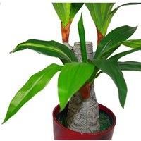 Leaf Design UK Artificial Dracaena Plant with Black Pot, Variegated, 75cm