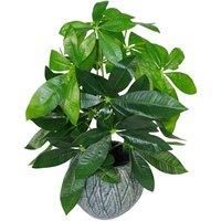 Leaf Design UK Realistic Artificial Foliage Pot, Mixed Materials, Money Plant, 50cm