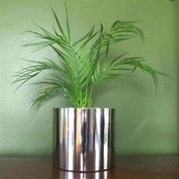 Leaf Design UK Realistic Artificial Foliage Plant with Pot, Palm, 50cm