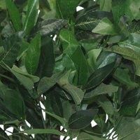 Leaf Design UK Artificial Bay Laurel Topiary Ball Tree, Green, 50cm