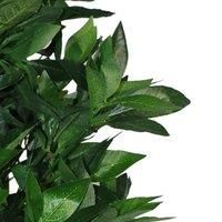 Pair of 120cm (4ft) Artificial Topiary Bay Trees Pyramid Cones - Extra Large ...