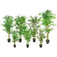 LARGE PALM Tropical Plants for Home or Office Display - Bamboo, Yukka, Mango