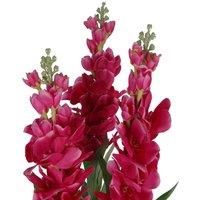 Leaf LEAF-7241 100cm Artificial Cymbidium Orchid Plant-Extra Large Black Plastic Pot Design UK, White