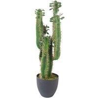 Artificial Cactus Cacti Plant Potted Black Pot 65cm Realistic Faux House Plants