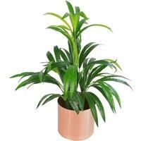 Leaf 65cm Artificial Bamboo Shrub Plant with Brushed Copper Planter
