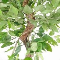 Leaf LEAF-7369 150cm Trunk Artificial Japanese Fruticosa Style Tree, Twisted Large Ficus, (5ft)