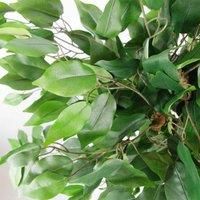 Leaf Artificial Ficus Tree/Plant, Evergreen Bushy, 90cm