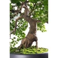 50cm Artificial Luxury Pine Bonsai Tree LEAF-7518