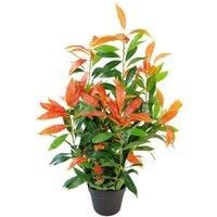 Artificial Ficus Tree Plant Photinia Red Robin Green 80cm Realistic Faux Plants