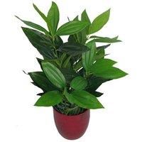 Leaf Design UK Realistic Large Artificial Foliage Plant with Pot