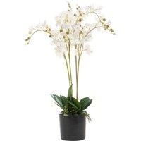 Leaf Design UK Realistic Artificial Orchid Flower Display in Pot,60cm