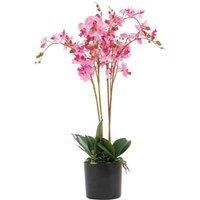 Leaf Design UK Realistic Artificial Orchid Flower Display in Pot