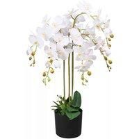 Leaf Design UK Realistic Artificial Orchid Flower Display in Pot, 85cm White