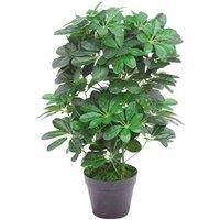 Leaf Artificial Evergreen Plant 55Cm Small Plant 55Cm