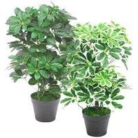 Leaf Artificial Arboricola Evergreen Plant, Dark Green, 55cm