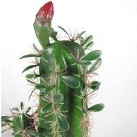 Jungle Artificial Plants Tropical - Cactus and Sansevieria  Realistic