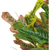 Tropical Artificial Plants 65cm Croton Codiaeum Multicoloured House Plant Medium