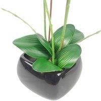 Leaf Design UK Artificial Orchid Natural Look