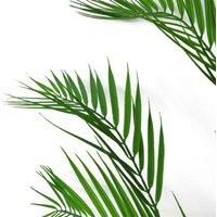Large Artificial Palm Tree No Pot 11 Leaves 118cm Realistic