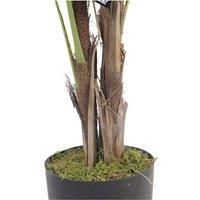 LARGE Tropical Plants Trees Exotic Tropical for Home or Office Display -