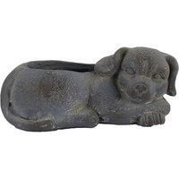 UNUSUAL SLEEPY PUPPY DOG PLANTER in BLUE IRON EFFECT, BRAND NEW RANGE YSP-144