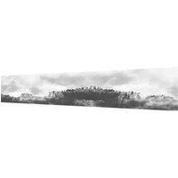 Splashwall Matt Black & white Misty woods Acrylic Splashback (H)600mm (W)2440mm (T)4mm