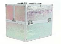 Maven Iridescent Vanity Case