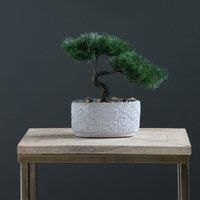 Artificial Bonsai Tree in Textured Cement Plant Pot