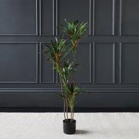 Artificial Real Touch Red Dracaena in Black Plant Pot