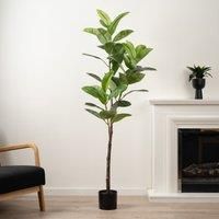 Scottish Everlastings Ltd Real Touch Rubber Tree 170cm, Green