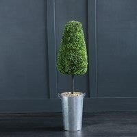 95cm Conical Boxwood Topiary in a Metal Container *SECONDS* (1128#2)