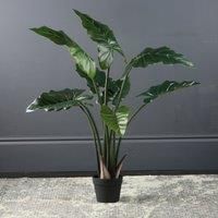 Scottish Everlastings Ltd Calla Tree 100cm, Green