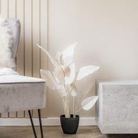 Scottish Everlastings Ltd Bird of Paradise Tree Natural 78cm, Green