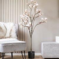 Scottish Everlastings Ltd Magnolia Tree 146cm, White