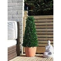 Scottish Everlastings Ltd UV Conical Topiary In Rustic Cement Pot, Green