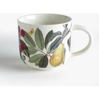 Royal Botanic Gardens Kew Fruit And Floral White Mug 290ml