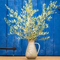 PurerHome x Eden Project Olives Stoneware Jug