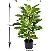 Artificial 75cm Real Touch Rubber Plant in Pot