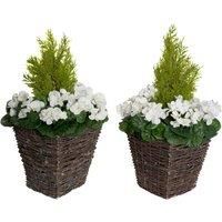 GreenBrokers 2 x Artificial All White Faux Silk Geranium Rattan Patio Planters with Conifer Topiary ideal for Home, Patio, Garden Outdoor Living 60cm/24in