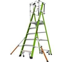 Little Giant 6 Tread Safety Cage Series 2.0