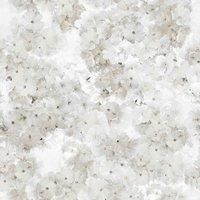 Apple Tree Blossoms Wallpaper Flowers Pretty Floral Glamour Muriva 211502 Cream