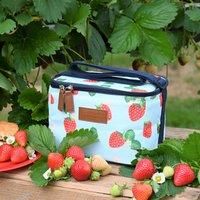 Summerhouse by Navigate Strawberries & Cream 4L Personal Coolbag Aqua