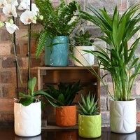 Navigate Beau & Elliot Carnaby Porcelain Embossed Pot Large Ivory, White